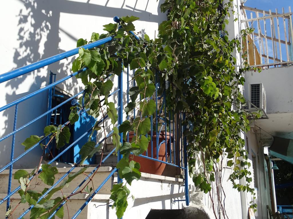 Juha'S Guesthouse - Zarqa Bay Jisr ez Zarqa Ngoại thất bức ảnh
