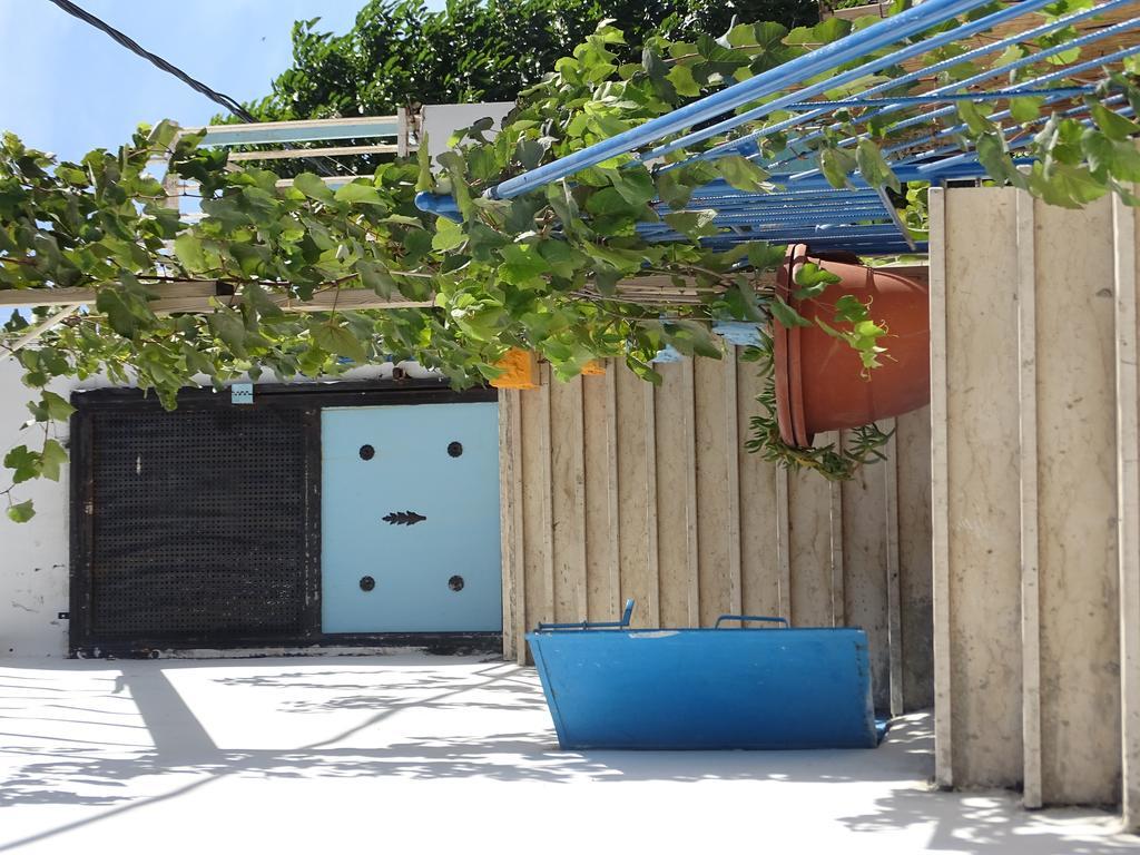 Juha'S Guesthouse - Zarqa Bay Jisr ez Zarqa Ngoại thất bức ảnh